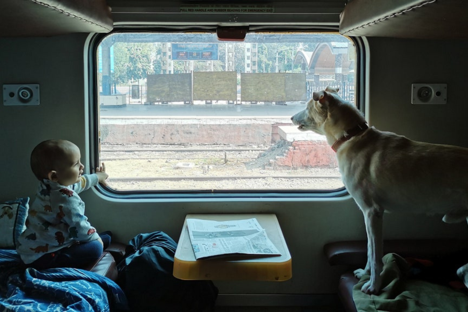 procedure for travelling by train with a dog in India
